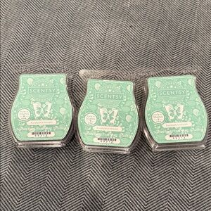 Scentsy Eucalyptus Wreath Wax Bars (3)